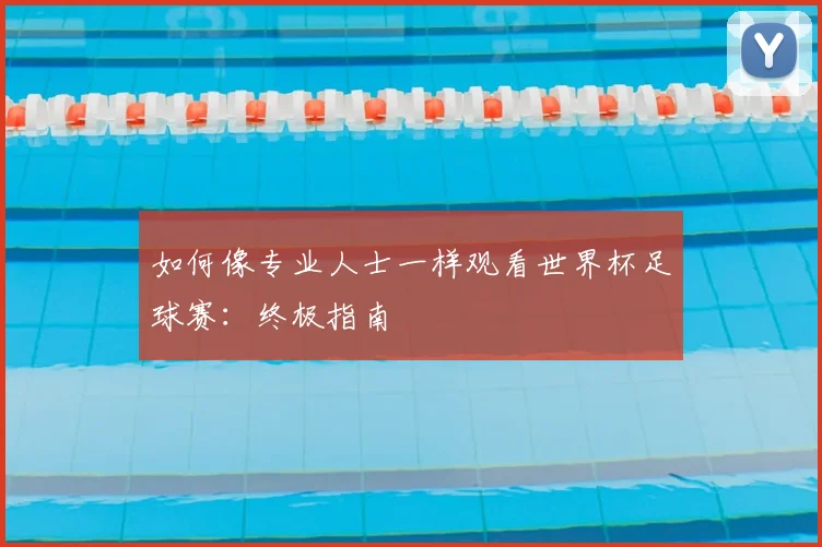 如何像专业人士一样观看世界杯足球赛：终极指南