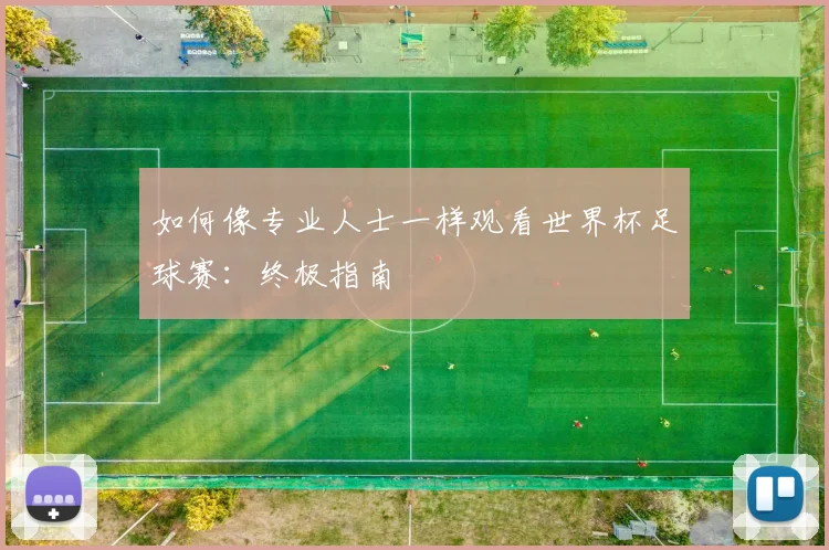 如何像专业人士一样观看世界杯足球赛：终极指南